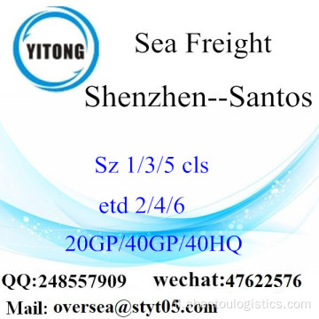 Shenzhen Haven Zee Vracht Verzending Naar Santos